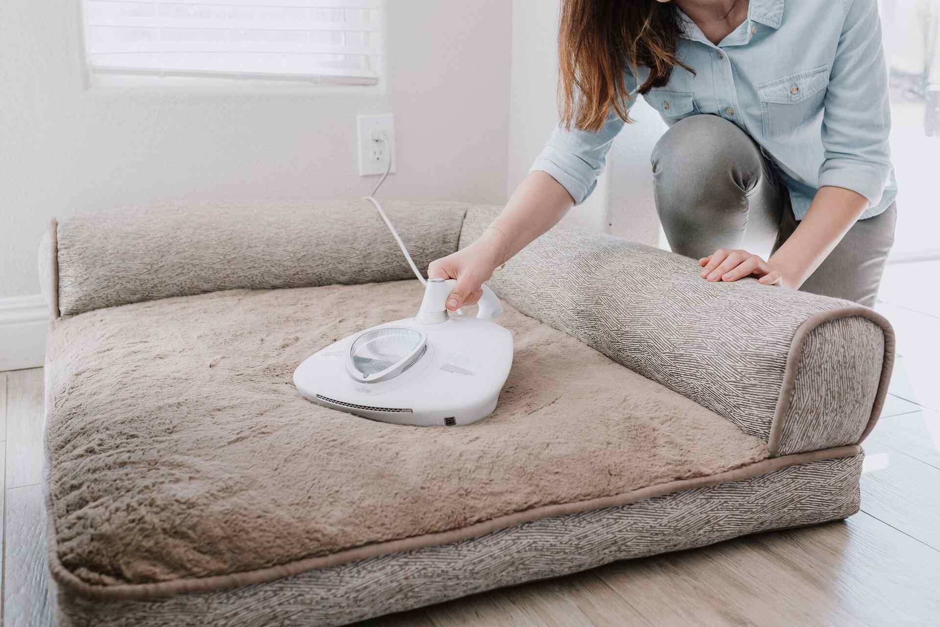 Beyond the Bedroom Discovering Dust Mite Havens and How to Combat The