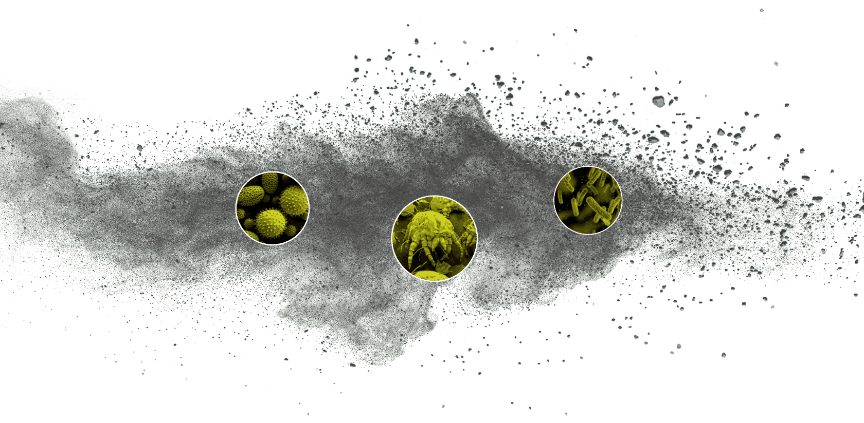 home-splatter-group-2